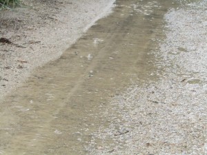 IMG_4728 (Medium)     